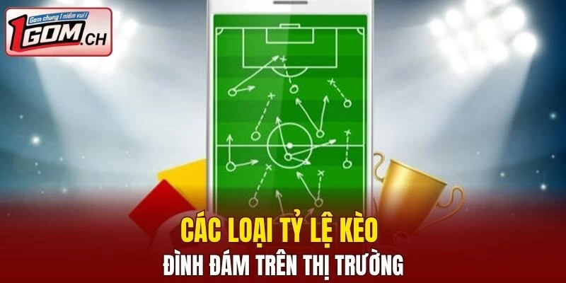 3 loại hình phổ biến trên thị trường hiện nay