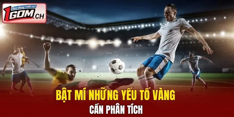 Bạn cần tiến hành phân tích hai đội bóng 