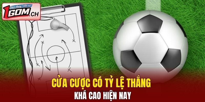 Cửa cược có tỷ lệ thắng khá cao hiện nay