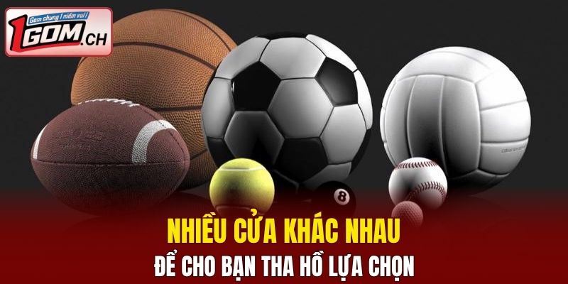 Nhiều cửa khác nhau để cho bạn tha hồ lựa chọn