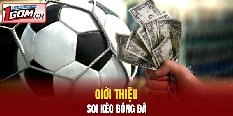 Tìm hiểu sơ lược về soi kèo bóng đá