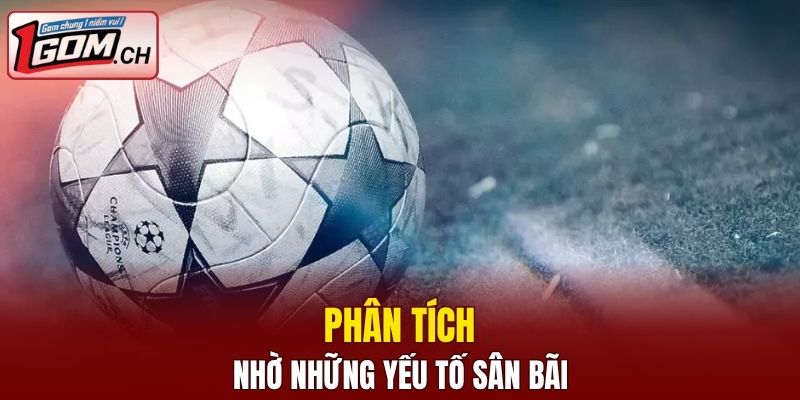 Phân tích nhờ những yếu tố sân bãi