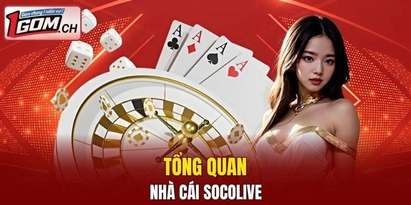 Tìm hiểu về nhà cái SOCOLIVE